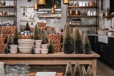 many small trees are on display in the kitchen with dishes and glassware around them