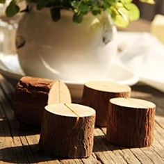 small pieces of wood sitting on top of a table next to a potted plant