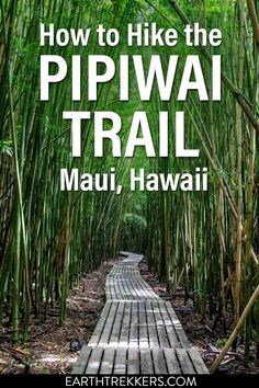 a wooden walkway surrounded by bamboo trees with the words how to hike the pipipwaii trail, hawaii