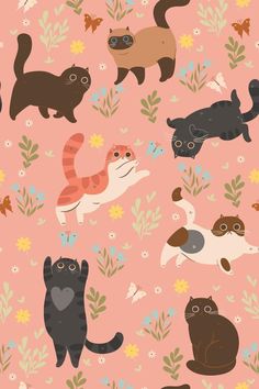 cats and flowers on a pink background