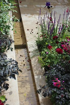 several different types of flowers are growing in the planter boxes on the side walk