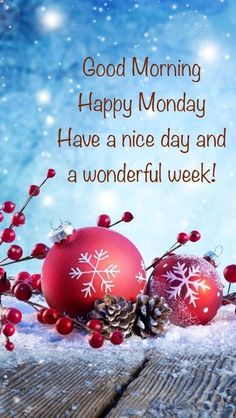 christmas balls and pine cones on snow covered ground with words good morning happy monday have a nice day and a wonderful week