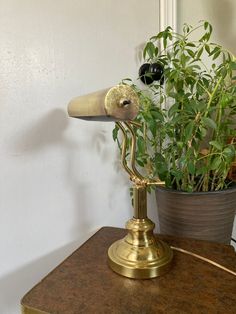 an antique brass desk lamp next to a potted plant on top of a table