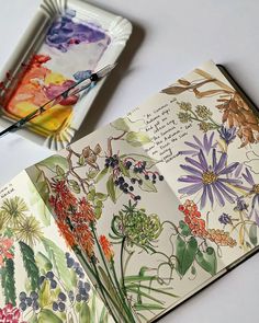 an open book sitting on top of a white table next to a plate with flowers