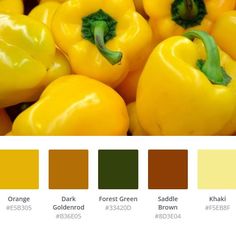 yellow bell peppers with green stems and brown ones in the color chart for each pepper