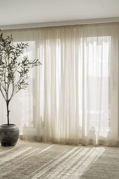 a potted plant sitting in front of a window with sheer curtains on the windowsill