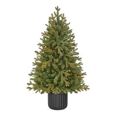 a small christmas tree in a black pot