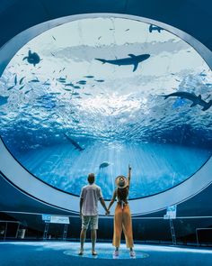 two people standing in front of an aquarium