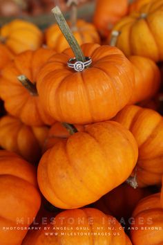 a pile of orange pumpkins sitting next to each other