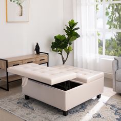 a living room with a couch, coffee table and potted plant