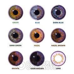 Prescription Contact Lenses, Dark Blue Eyes, Halloween Contact Lenses