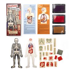 an assortment of medical related items displayed on a white surface with instructions for the human body