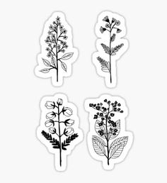 four stickers with different types of flowers and leaves on them, all in black and white