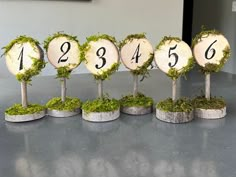 the numbers are placed on top of each other in small trees with moss growing out of them