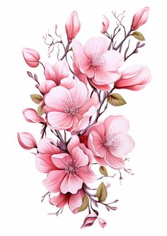 pink flowers with green leaves on a white background