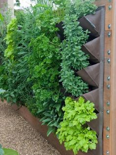 an assortment of green plants growing in a wooden planter on the side of a building