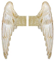 two white angel wings are facing each other