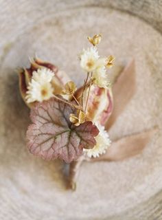 an overhead view of a leaf and flowers in a bowl