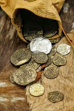 a pile of coins sitting on top of a cow's fur covered in metal