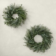 two green wreaths sitting on top of a white wall