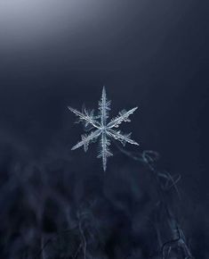 a snowflake is shown in the middle of dark blue skies and grass,