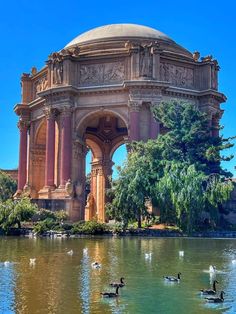 ducks are swimming in the water near an ornate building with pillars and arches on top