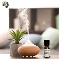 Lavender essential oil is renowned for its numerous benefits. It promotes relaxation, eases tension, and is often found in skincare products for its skin-nourishing properties. Its soothing scent is loved by both adults and kids, making it a family favorite. Order here: https://handmadenaturals.com/products/lavender-essential-oil?_pos=5&_psq=esse&_ss=e&_v=1.0&variant=39878597476543 #handmadenaturals #essentialoils #lavander #smells #diffuser #natural Doterra Cleaning, Essential Oils For Breathing, Detox Your Home, House Smell Good, House Smell, Cleaning Recipes, Home Health Care, House Smells, Natural Home