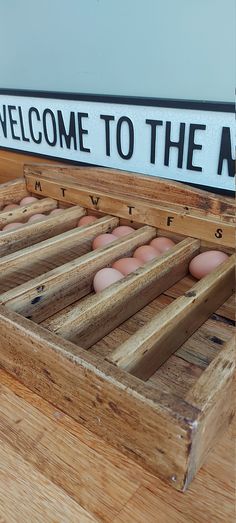 an egg tray with six eggs in it and the words welcome to the nest on top