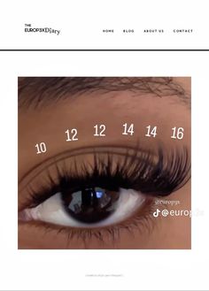 clusters - indivuals Lash Extensions Styles Lash Map, Lashes Extensions Clusters, Fluffy Lash Extensions Mapping, B&q Lash Map Clusters, Quewel Lash Map, Lash Layout Clusters, Volume Cluster Lashes Map, Small Eye Lash Map, Lash Inspo Eyelash Extensions Map