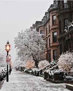 a snowy street lined with parked cars next to tall buildings