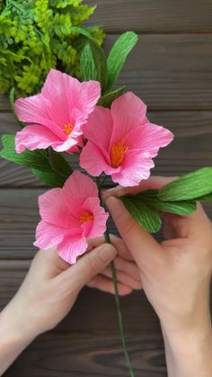 two hands holding pink flowers with green leaves