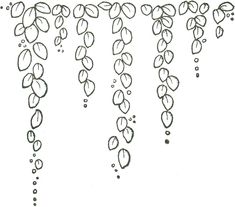 a drawing of leaves hanging from the ceiling with water droplets on them and bubbles in the air