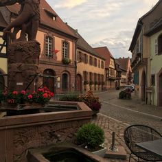 a cobblestone street lined with old buildings and flowers in the foreground, next to a fountain