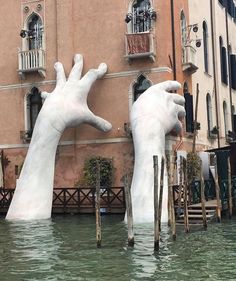 two large white hands reaching out of the water