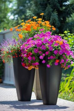 two large black vases filled with colorful flowers