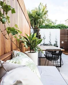 an outdoor patio with plants and furniture