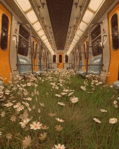 the inside of a train with flowers on the ground