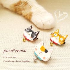 three different cat shaped earrings on top of a white carpet with the caption poco'moo