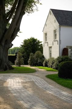 a large white house sitting on top of a lush green field next to a tree