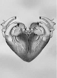 a drawing of two heart shaped animals with their faces touching each other's noses