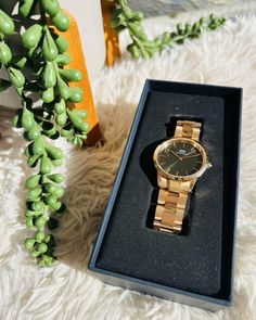 Neuwertig Gold DW Frauen Uhr . Modisch. Stylisch. Zu jeder Gelegenheit tragbar. Kommt mit Box. Women Gold Watch, Daniel Wellington Women, Old Forge, Gold Watches Women, Women Wrist Watch, Wrist Watches, Daniel Wellington, Wellington, Gold Watch