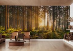 a living room filled with furniture next to a forest wallpaper covered in sunlight shining through the trees