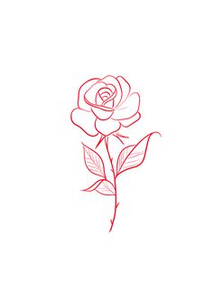 a drawing of a rose on a white background