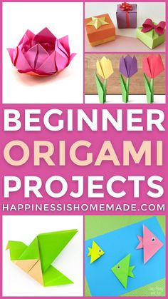 origami projects for beginners with text overlay that reads, beginner origami projects