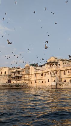 many birds flying over a large building on the water