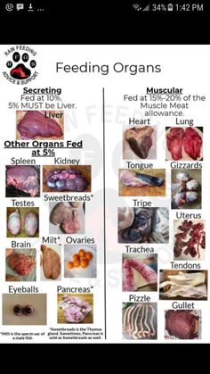 an image of feeding organs in the body and on the side of a cell phone