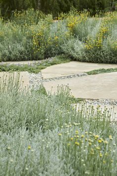 a park bench sitting in the middle of a flower garden