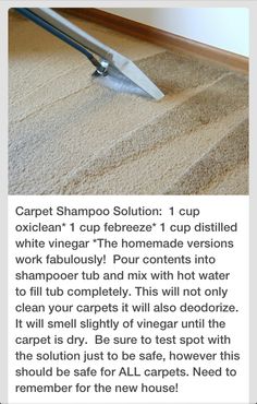 carpet shampoo solution 1 cup oxiclean't to ferretize 1 cup distilled white vinegar the homemade versions work fabulously