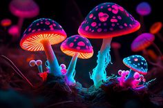 several glowing mushrooms in the dark with pink and blue lights on their tops, all lit up