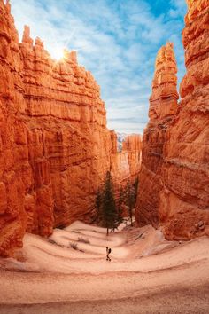 Renee Roaming hiking in Bryce Canyon National Park, in Utah. Utah Zion National Park, United States National Parks, Utah Asethic, National Parks Aesthetic, Things To Do Bucket List, Utah Mighty 5, Road Trip Utah, Utah Aesthetic, Summer Travel Outfit